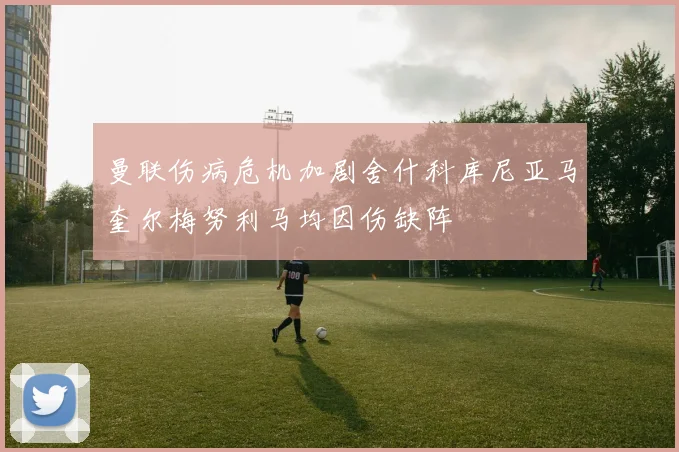 曼联伤病危机加剧舍什科库尼亚马奎尔梅努利马均因伤缺阵