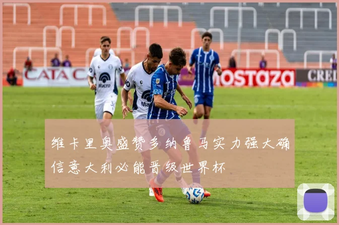 维卡里奥盛赞多纳鲁马实力强大确信意大利必能晋级世界杯