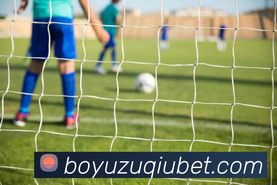 博鱼体育APP 高清赛事图