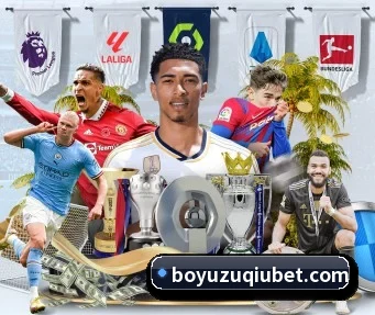 博鱼体育 APP(BOYUSPORTS)